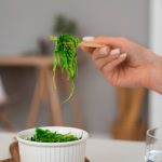 Spirulina Pasta: Il Superfood Verde per Ricette Sane e Gustose